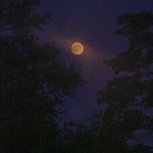 Meet your Posher, Marine